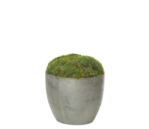 Large Green Faux Moss Ball – Cowshed Interiors Limited