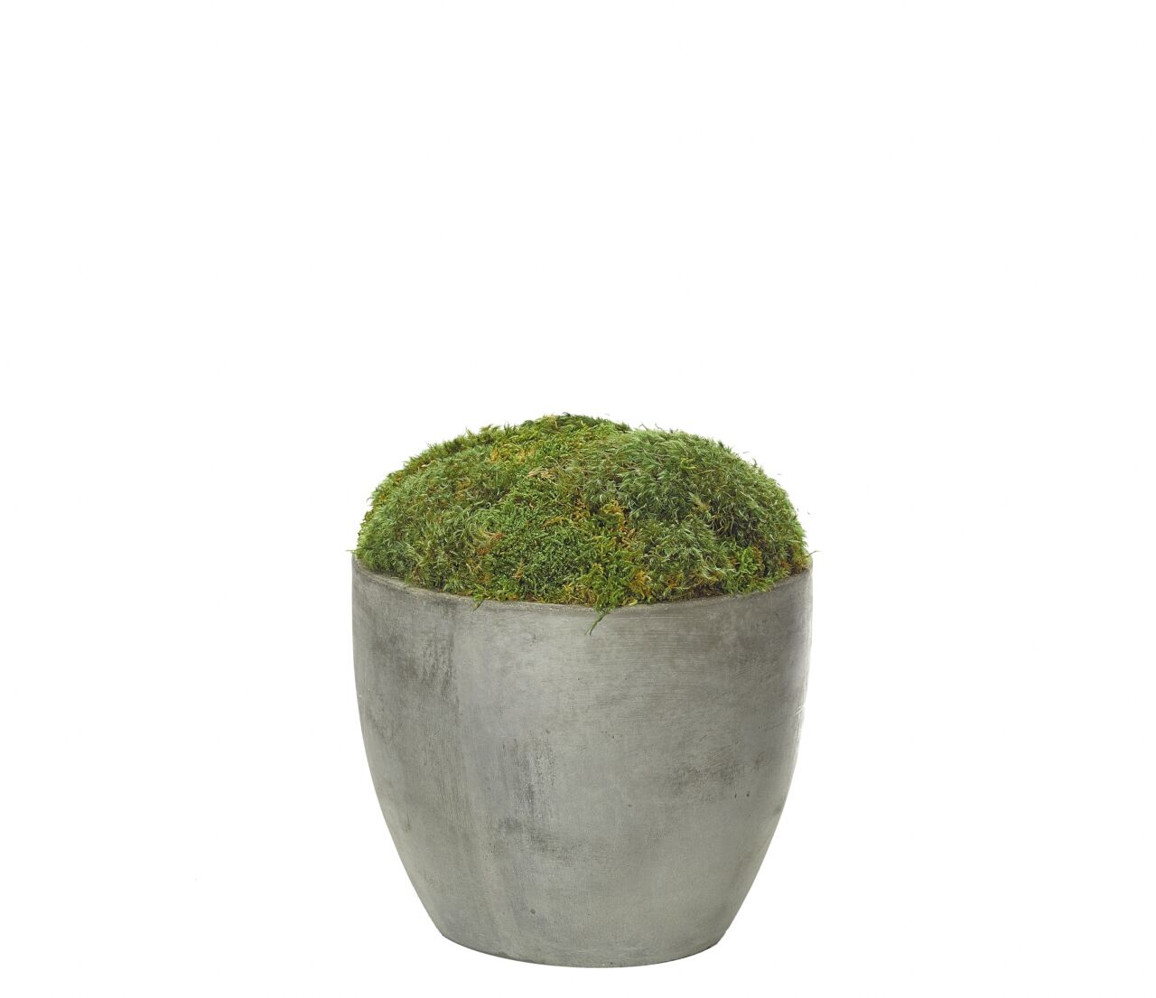Moss Mound in Concrete BowlFaux Greenery, 8.5