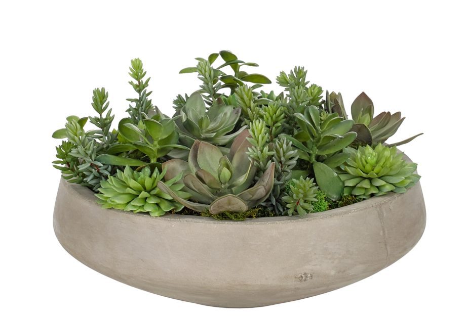 Succulent, Concrete Rectangle PlanterFaux Greenery, 8