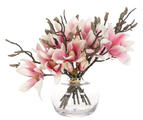 Magnolia, Pink, in Glass Bulb VaseFaux Watergarden, 22