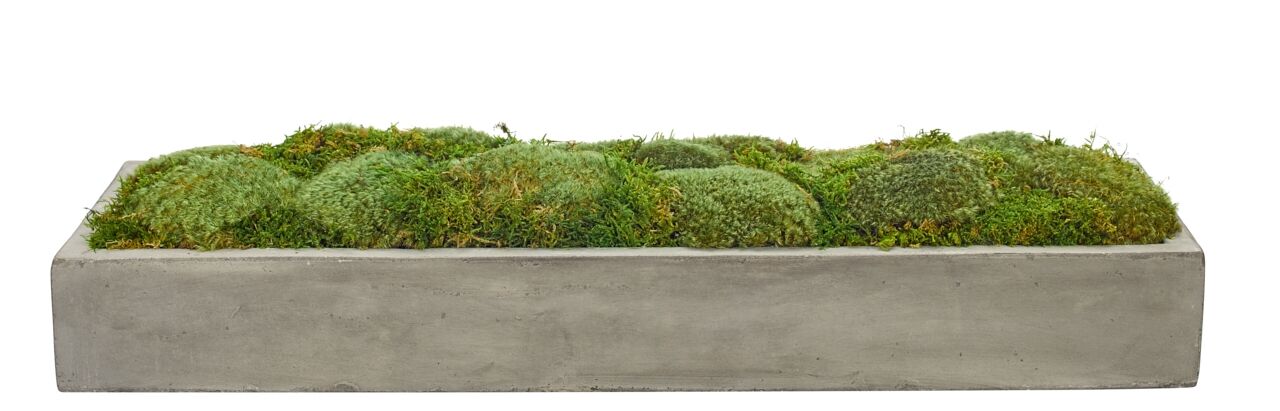 Moss Planter Rectangle ConcreteFaux Greenery, 6" | NDI