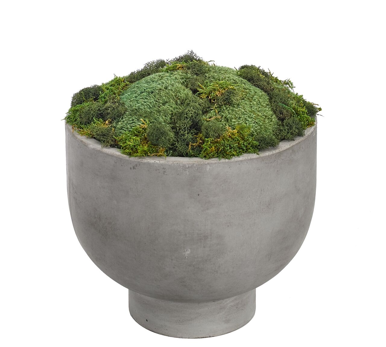 Moss Mound in Concrete BowlFaux Greenery, 12.5