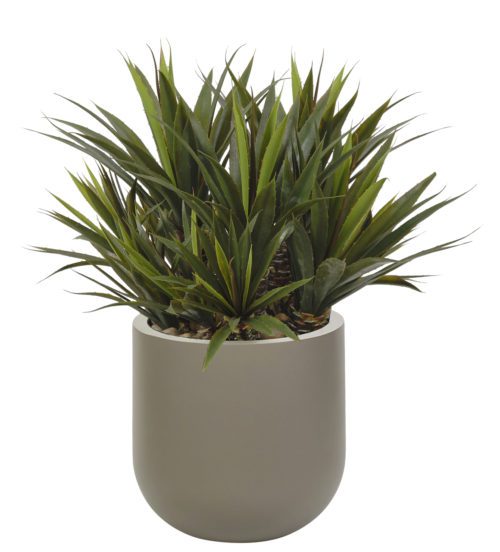 A UV-rated faux Aloe Plant with lush, pointed leaves stands in a minimalist dome planter, creating a fresh and lively look.