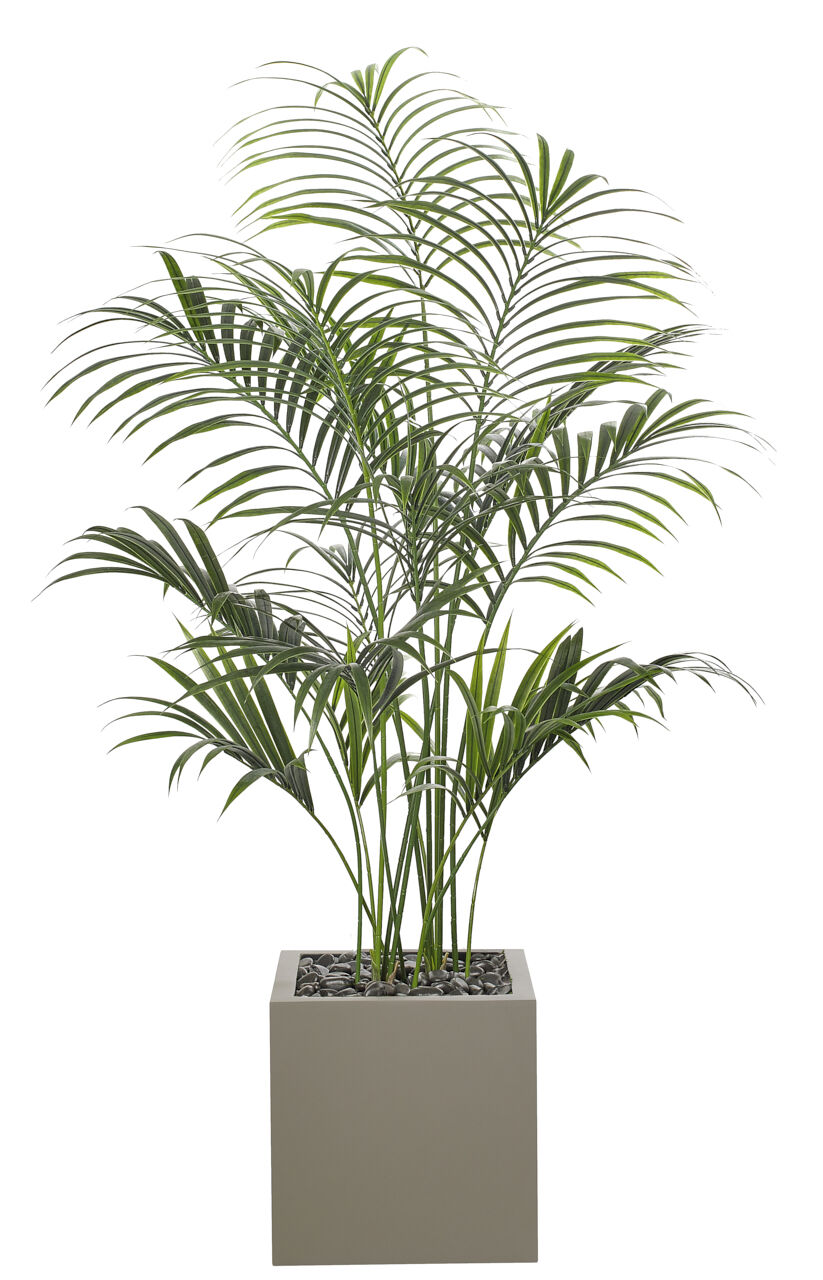 Palm Kentia Tree, Faux, 6'UV RATED for Outdoor Use! | NDI
