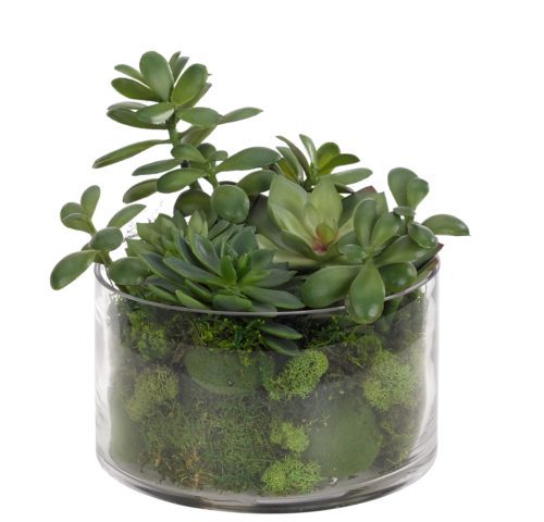 Aloe Succulent, Green, Ribbed Ceramic PotFaux, Watergarden, 9.5 | NDI