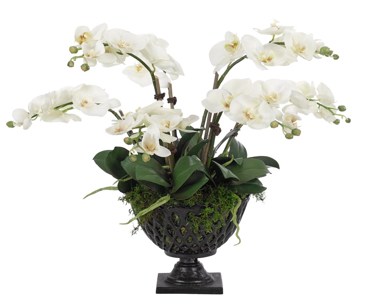 Orchid Phalaenopsis White In Cast Iron BowlFaux Arrangement 12 NDI   F1 7e B7420ef5b353180c284fe57b7459 