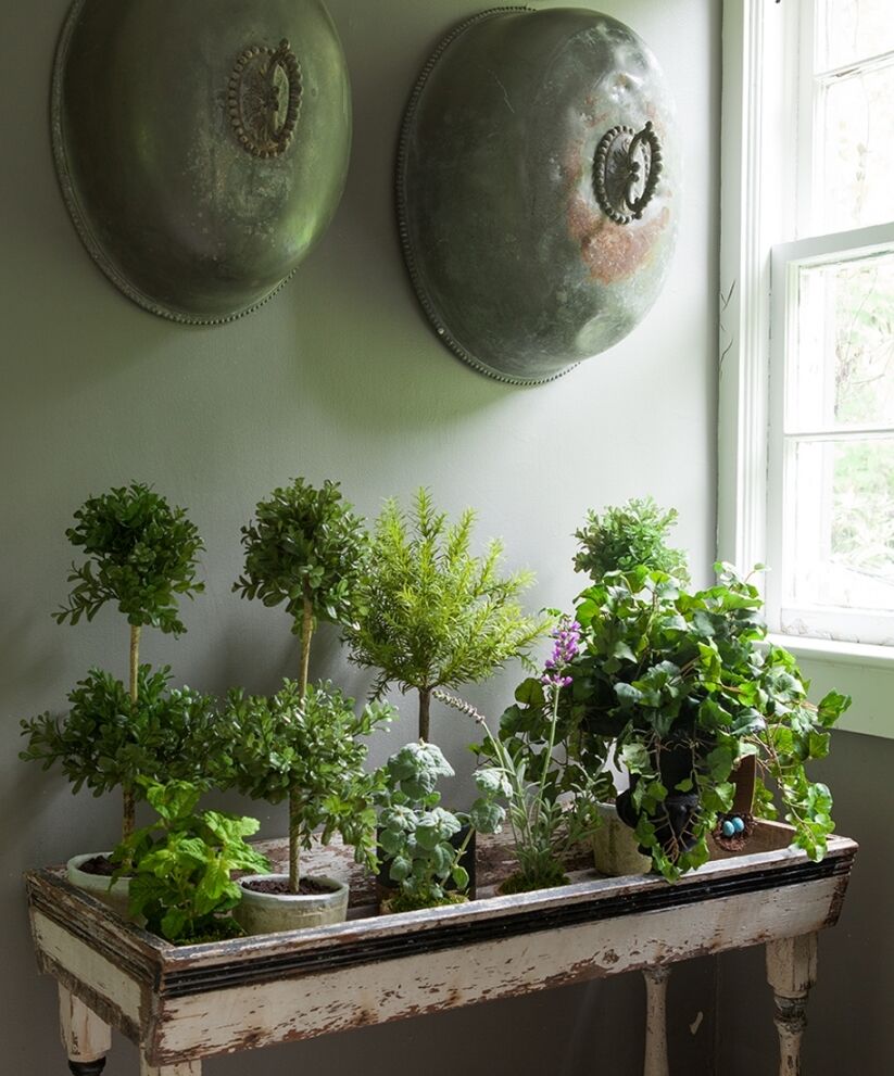 A rustic wooden table with various potted plants sits by a window with natural light streaming in. Two metallic, decorative wall pieces are mounted above the table on a green wall.