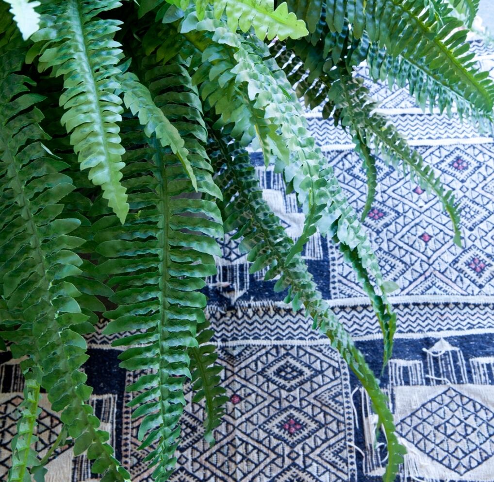 Lush green fern leaves cascade over a patterned black and white rug with geometric designs. The fern's vibrant foliage contrasts with the intricate rug, creating a striking visual.