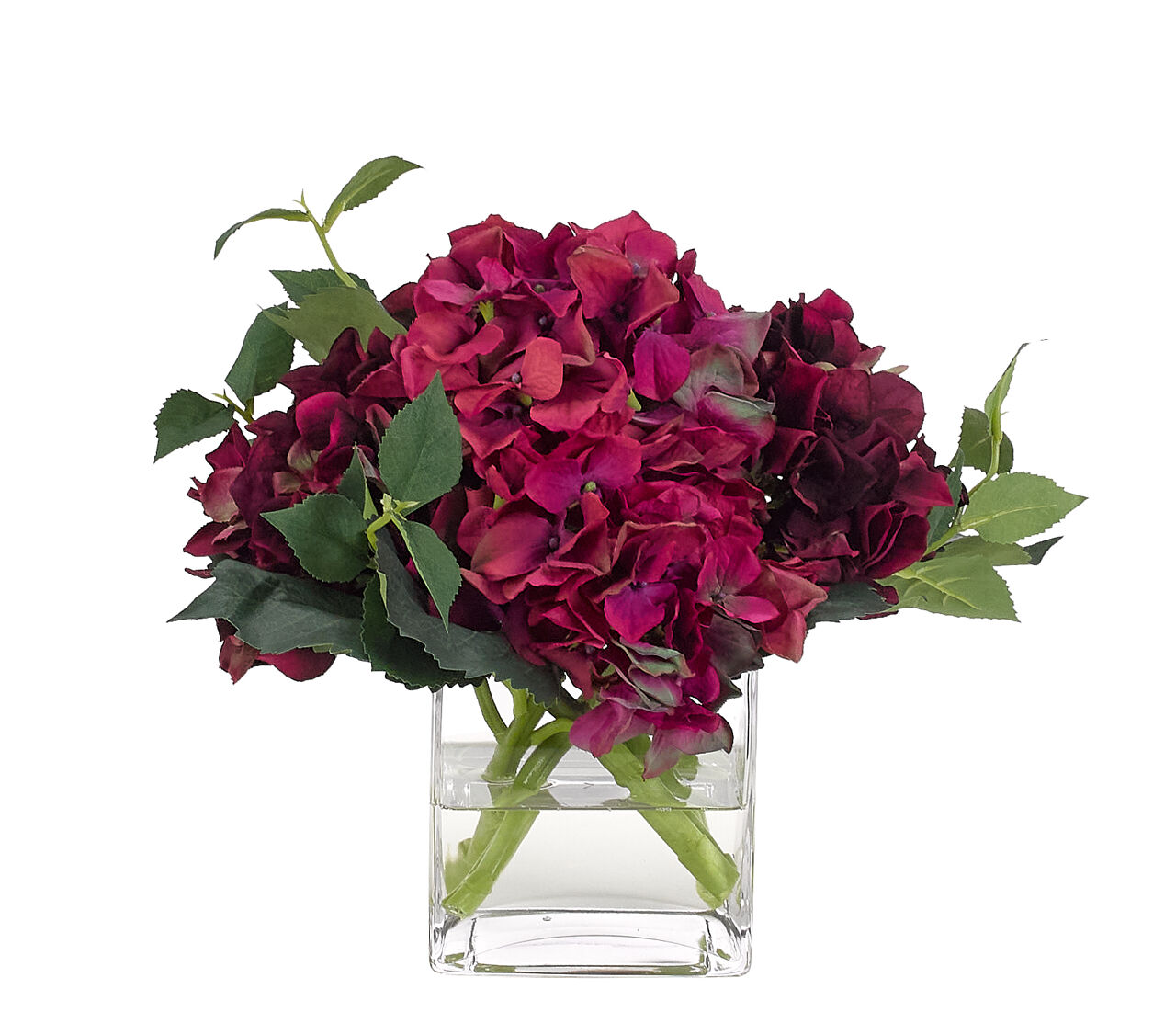 Hydrangea, Fuchsia, in Glass CubeFaux Watergarden, 10