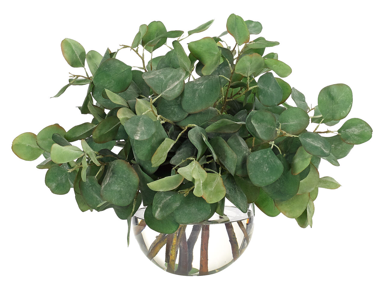 Eucalyptus in Glass BubbleFaux Greenery Watergarden, 25