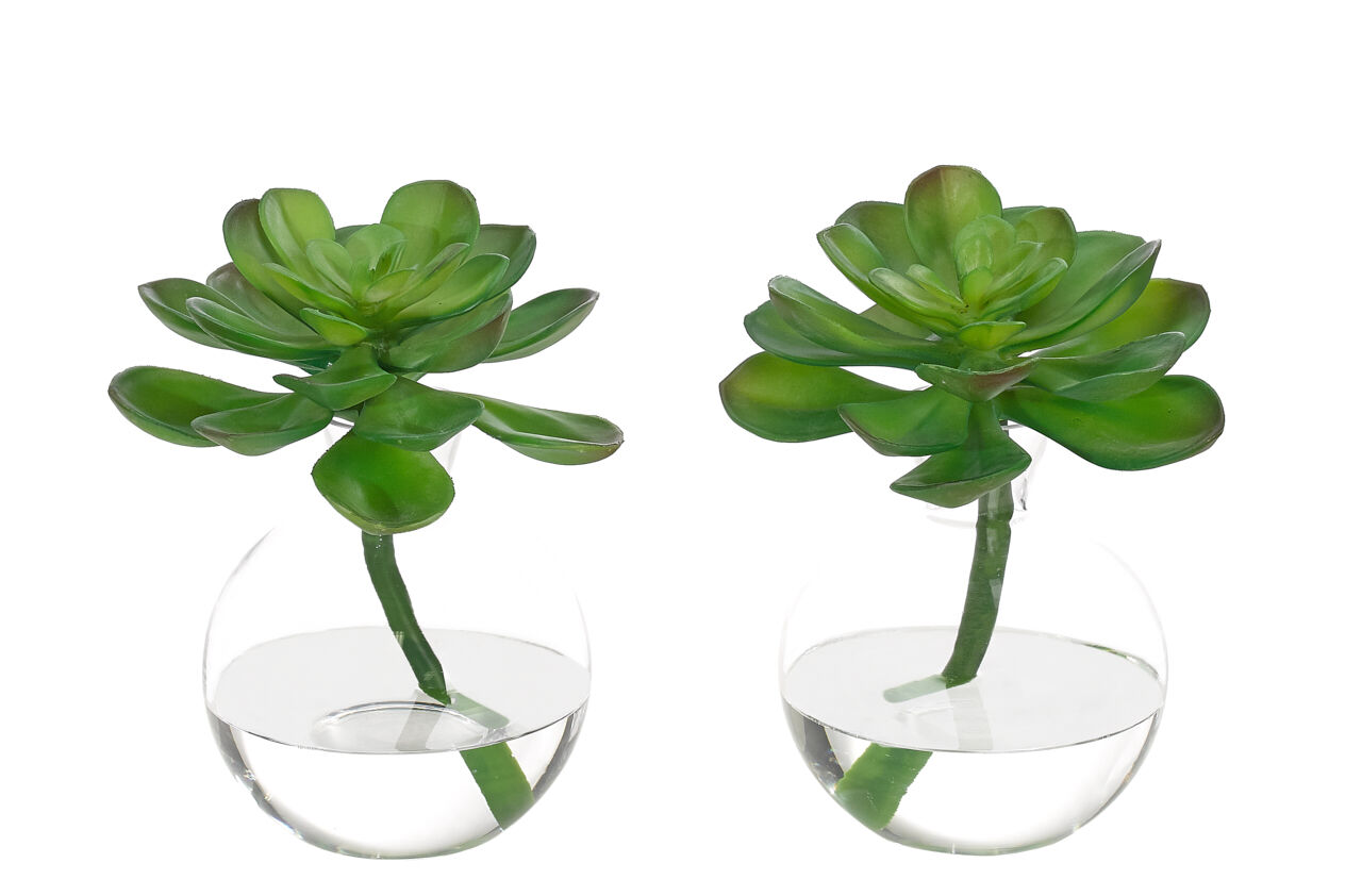 Succulent, Glass Bubble, Set of 2Faux Greenery Watergarden, 8.5 