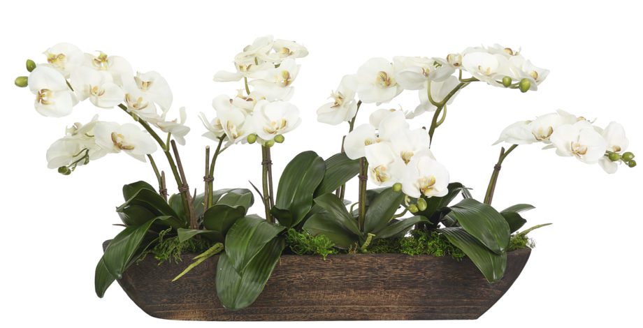 Orchid Phalaenopsis, Cream White, Wood TroughFaux Arrangement, 18