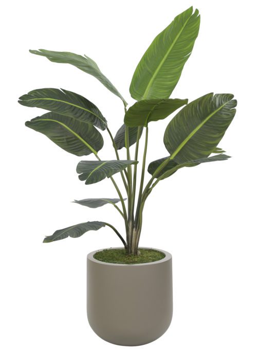 The Palm Traveler Tree is a 5-foot tall faux plant featuring large, vein-rich elongated leaves for a lush tropical look, housed in a simple gray pot with a smooth texture that complements its vibrant foliage.