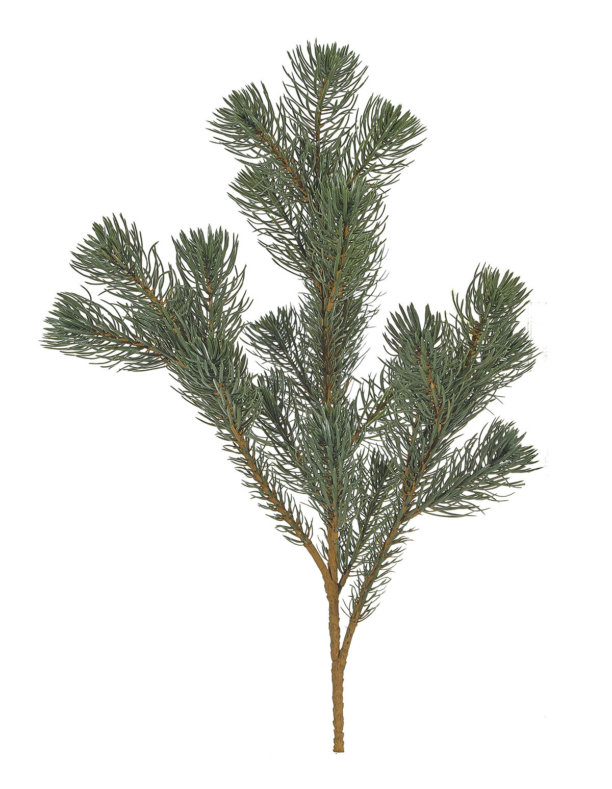 Branch Pine x 4, Green, Box of 6, Faux