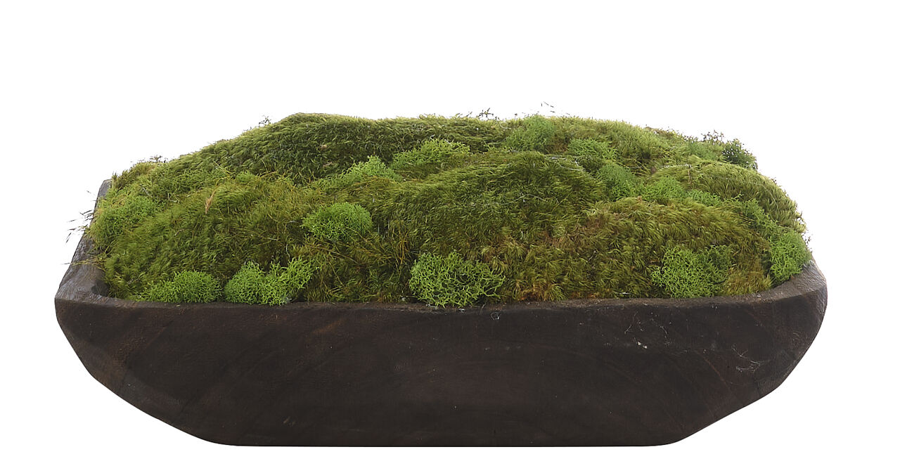 Moss Mound, Wood BowlFaux Arrangement, 6 | NDI