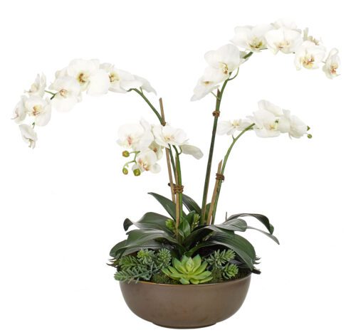 One phalaenopsis orchid plant, spanish moss, black lava with seasonal  branch. White or pink, in stone ceramic…
