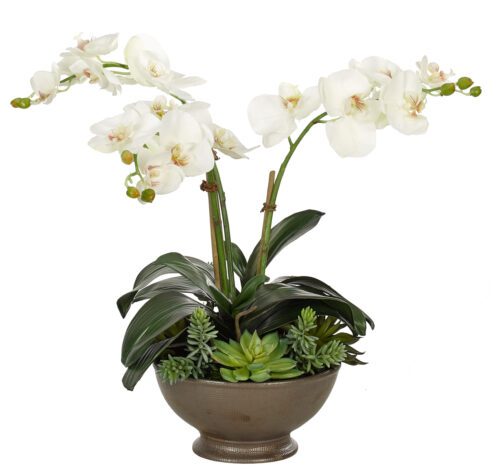 Orchid Phalaenopsis, White, in Glass VaseSet of 2, Faux Watergarden, 10 ...