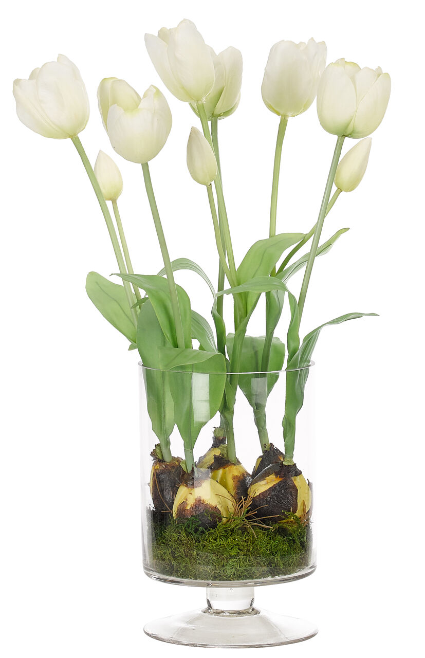 Tulip, White, Glass PedestalFaux, Moss Garden, 20