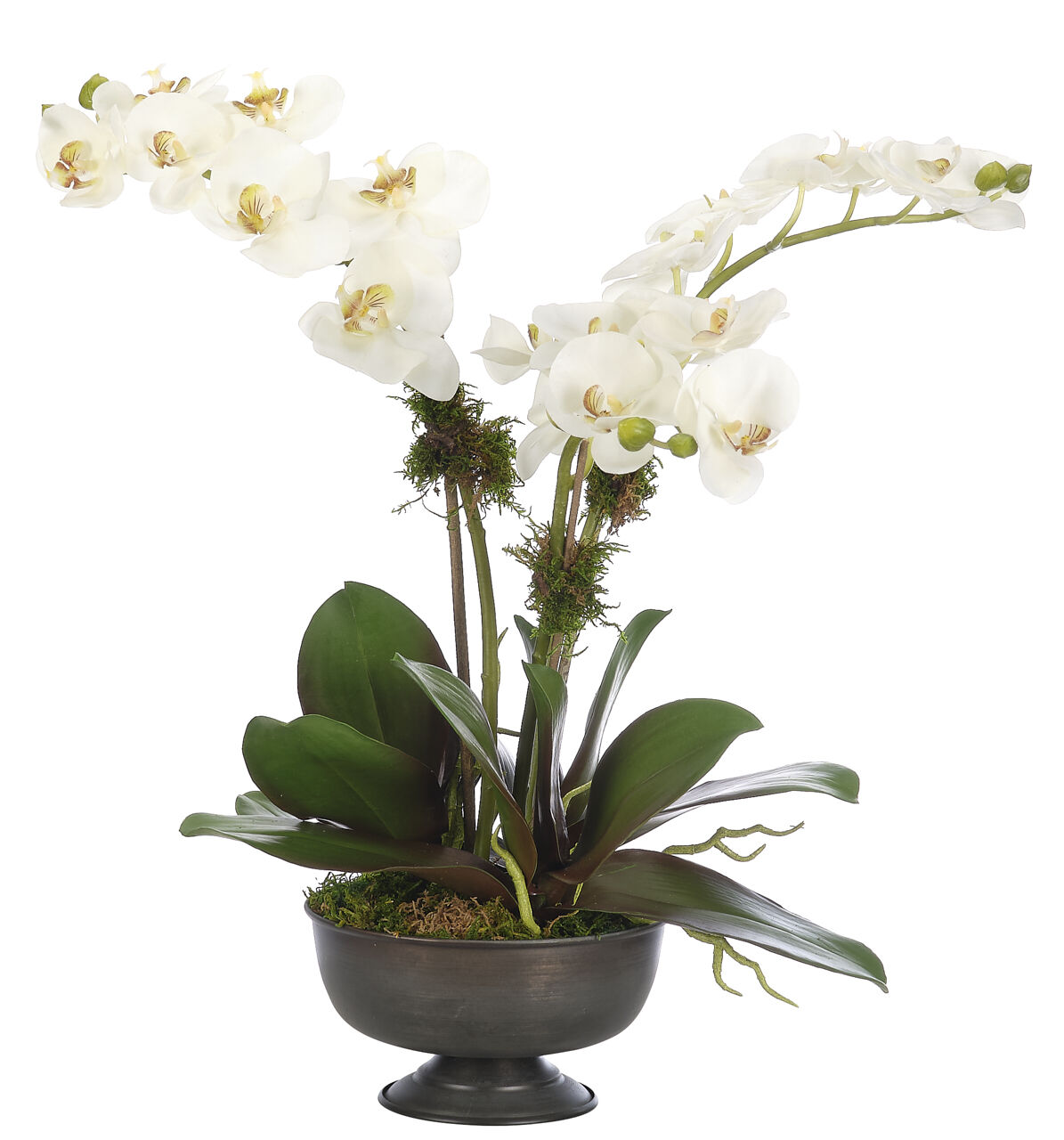 Orchid Phalaenopsis, White, Metal BowlFaux Arrangement, 24