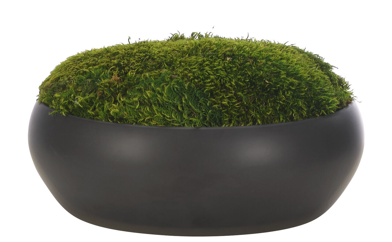 Long cement bowl with faux moss - Creative Branch