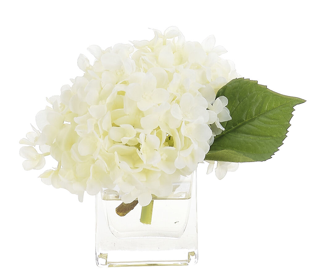 Hydrangea, White, Glass CubeFaux Watergarden, 6