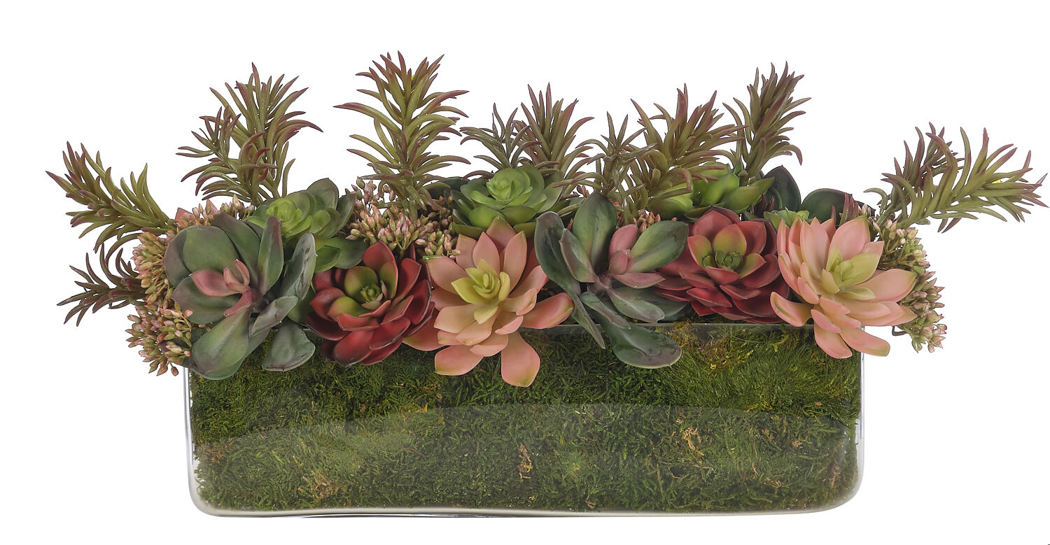 Succulent, Green Mauve Set of 4, Faux Moss Garden, 5