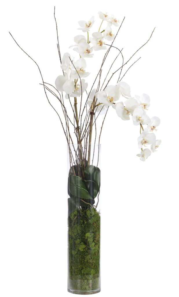 Orchid Phalaenopsis, White, Glass CylinderFaux Moss Garden, 47