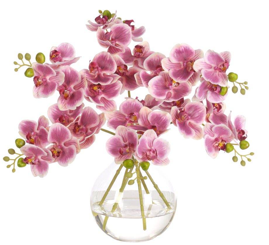 Orchid Phalaenopsis, Pink Purple, GlassFaux Watergarden, 13