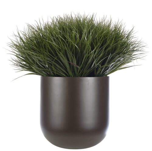 A tall, cylindrical dark brown planter is filled with lush, green grass-like foliage. The plant's long, slender blades fan out densely, creating a bushy appearance. The container has a smooth, modern finish.