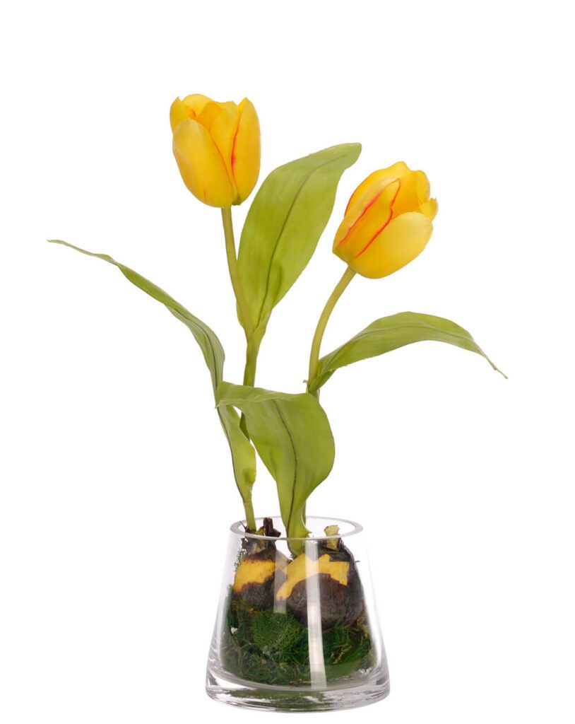 Tulip, Yellow, Glass Vasefaux Moss Garden, 5