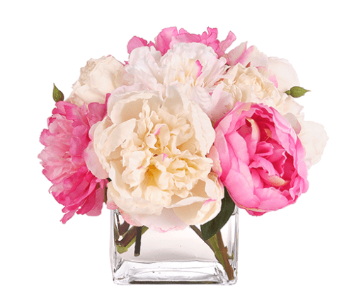 Peonies