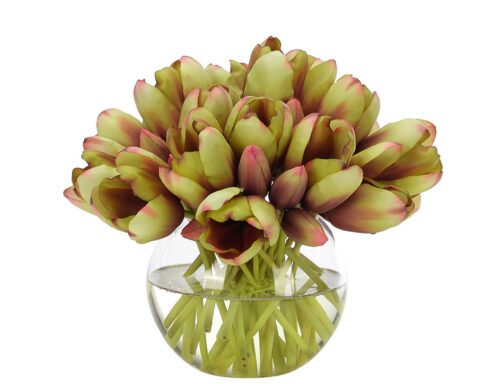 A glass vase holds a bouquet of green tulips with reddish edges. The vase is filled with water, and the stems of the tulips are visible. The arrangement is symmetrical and compact.