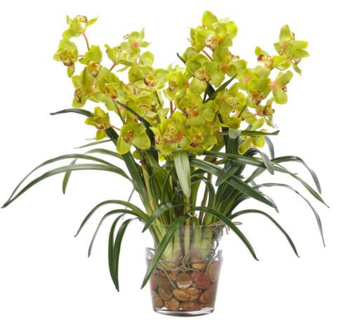 A glass vase filled with smooth stones holds a lush arrangement of yellow orchids with green leaves. The flowers have delicate petals and speckled centers, creating a vibrant and elegant display against a white background.