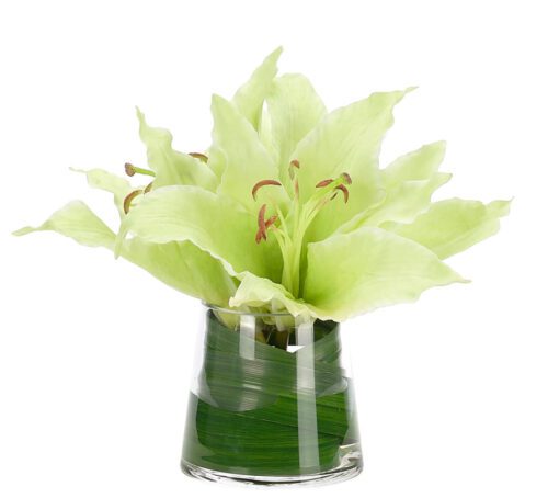 A clear glass vase holds light green, artificial silk lily flowers with long leaves and stamens. The leaves are arranged neatly, adding a fresh and elegant touch to the floral display.