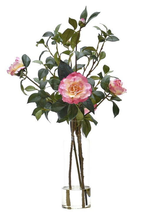 A bouquet of pink roses with green leaves in a clear glass vase, set against a white background. The flowers have lush petals with gradient shades of pink and white, and the vase is cylindrical and filled with a small amount of water.