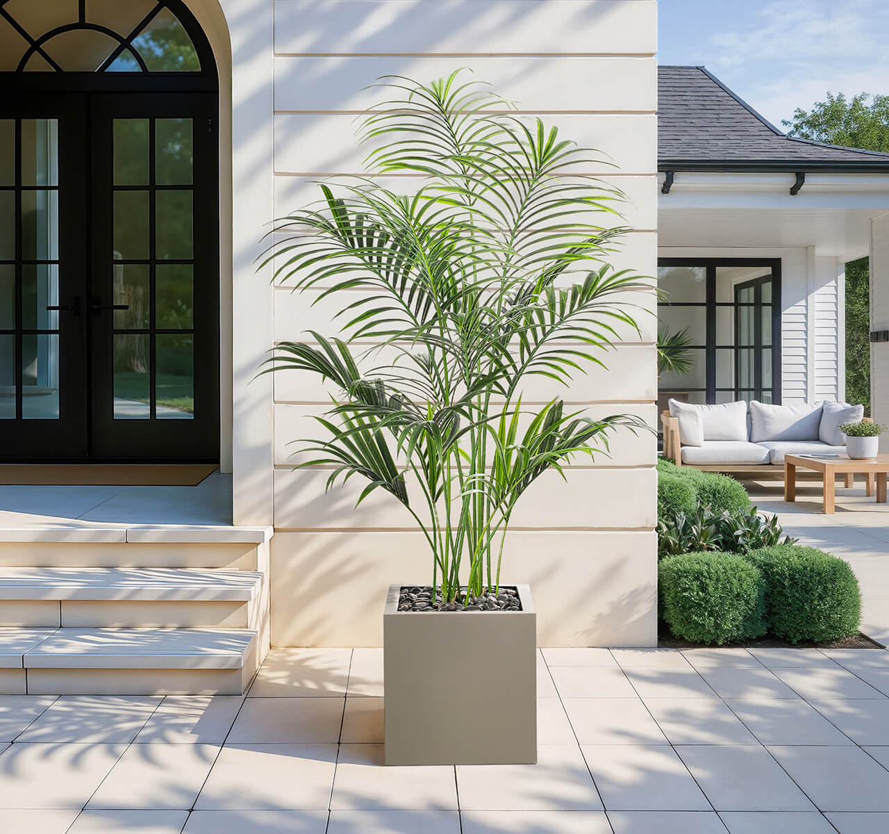 Kentia Palm Tree, UV Outdoor, Faux, 6' (Preorder for Feb) | NDI, image size:1280x1200