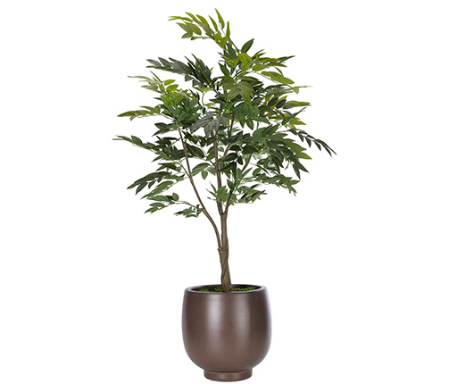 Floor Plants | NDI