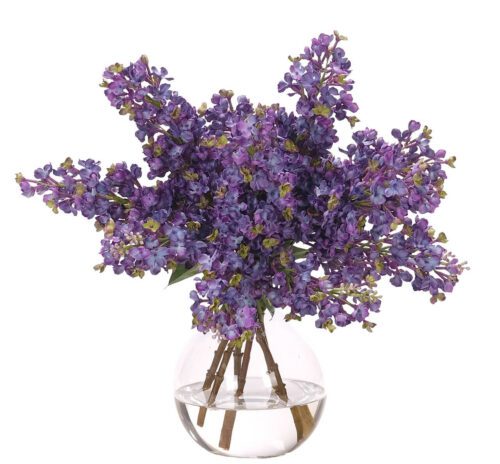 A clear glass vase filled with water holds several stems of blooming purple lilacs with green leaves, arranged in a full, lush bouquet against a plain white background.