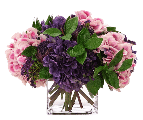 Hydrangeas