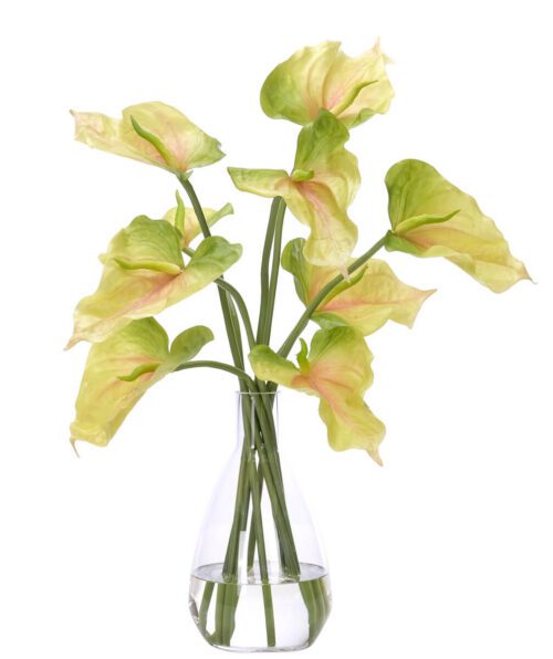 Anthurium, Faux Watergarden, 24"