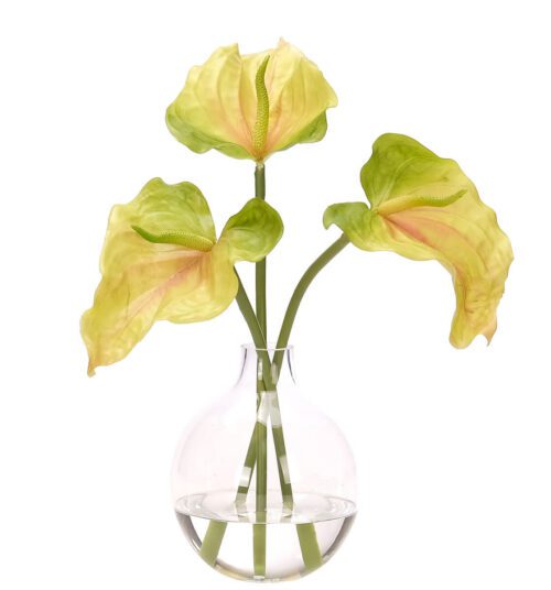 Anthurium, Faux Watergarden, 15"