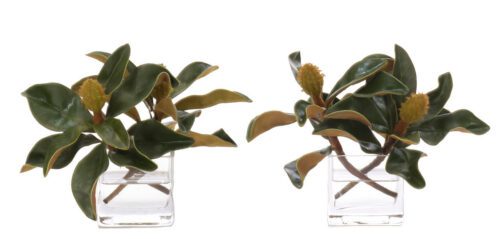 Magnolia Foliage, Set of 2, Faux Watergarden, 7"