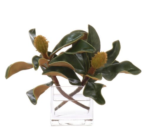 Magnolia Foliage, Faux Watergarden, 7"