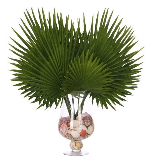 Fan Palm, Faux Watergarden, 31"