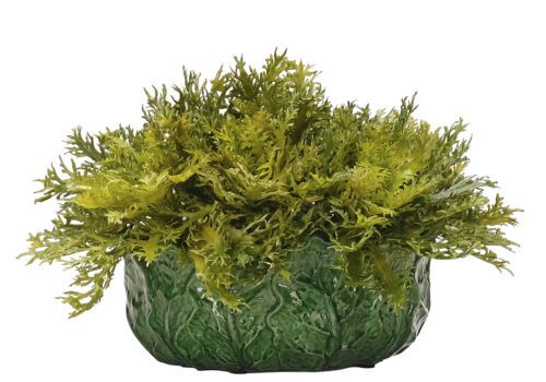 Cabbage, Faux Arrangement, 10" (Final Sale)