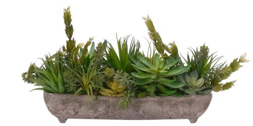 Succulent, Faux Arrangement, 11"