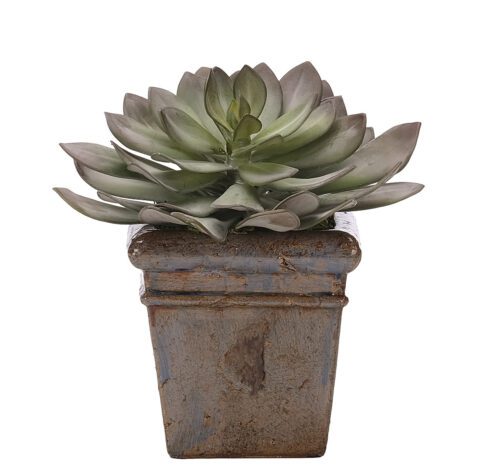 Succulent, Faux Arrangement, 11" (Final Sale)