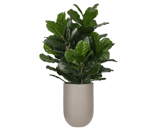 New Outdoor Collection