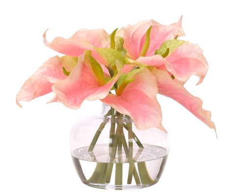Anthurium, Faux Watergarden, 11"