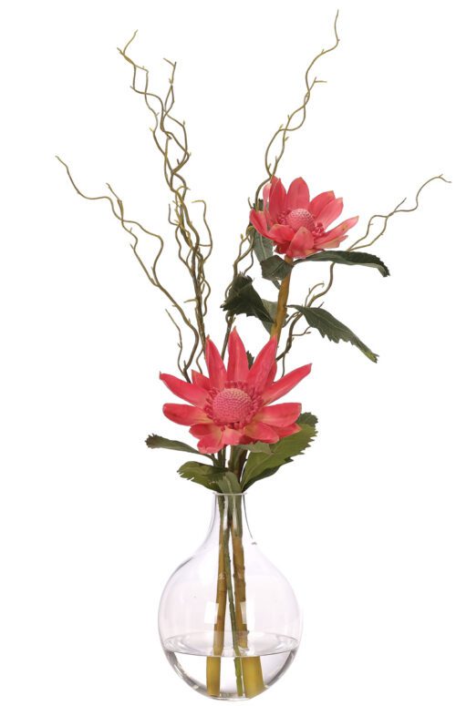 Protea, Faux Watergarden, 32" (Final Sale)